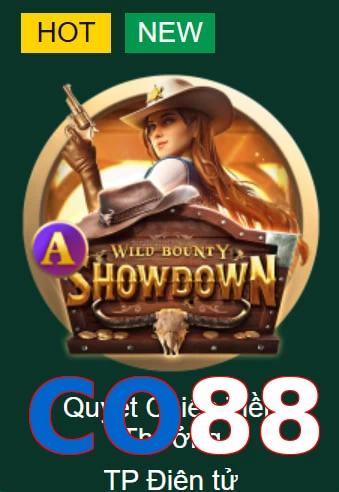CO88