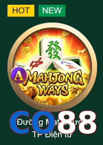CO88